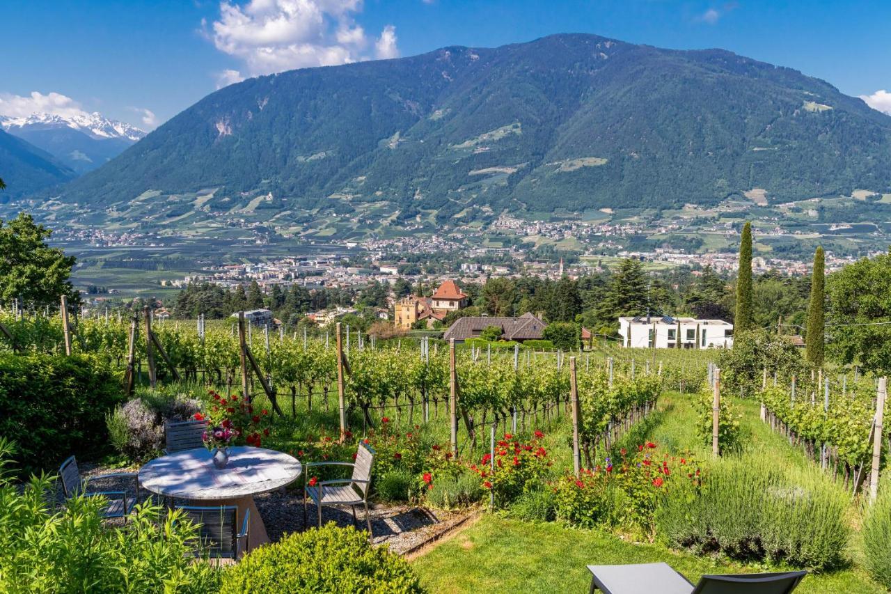 Zypresse * Merano