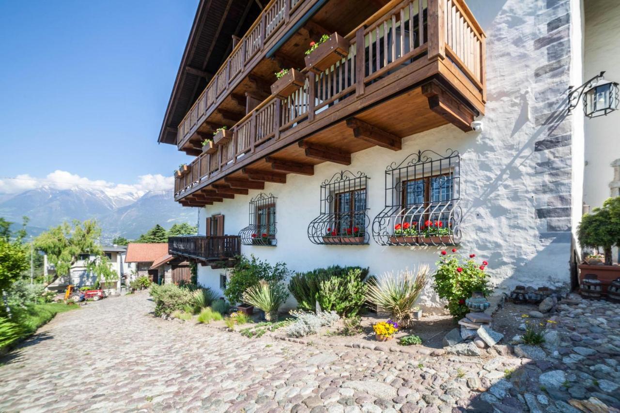 Zypresse Merano